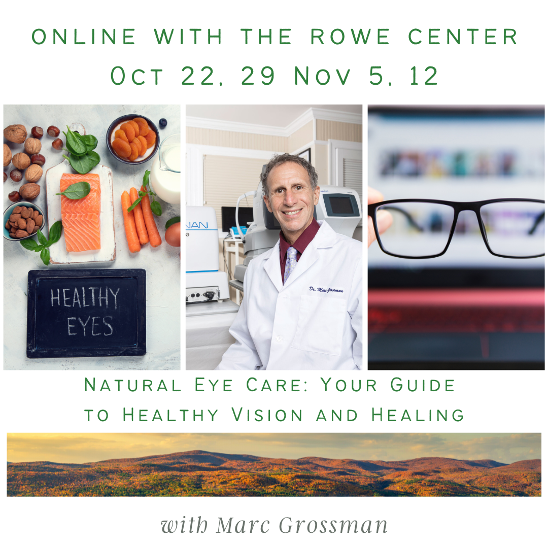 Online Programs The Rowe Center
