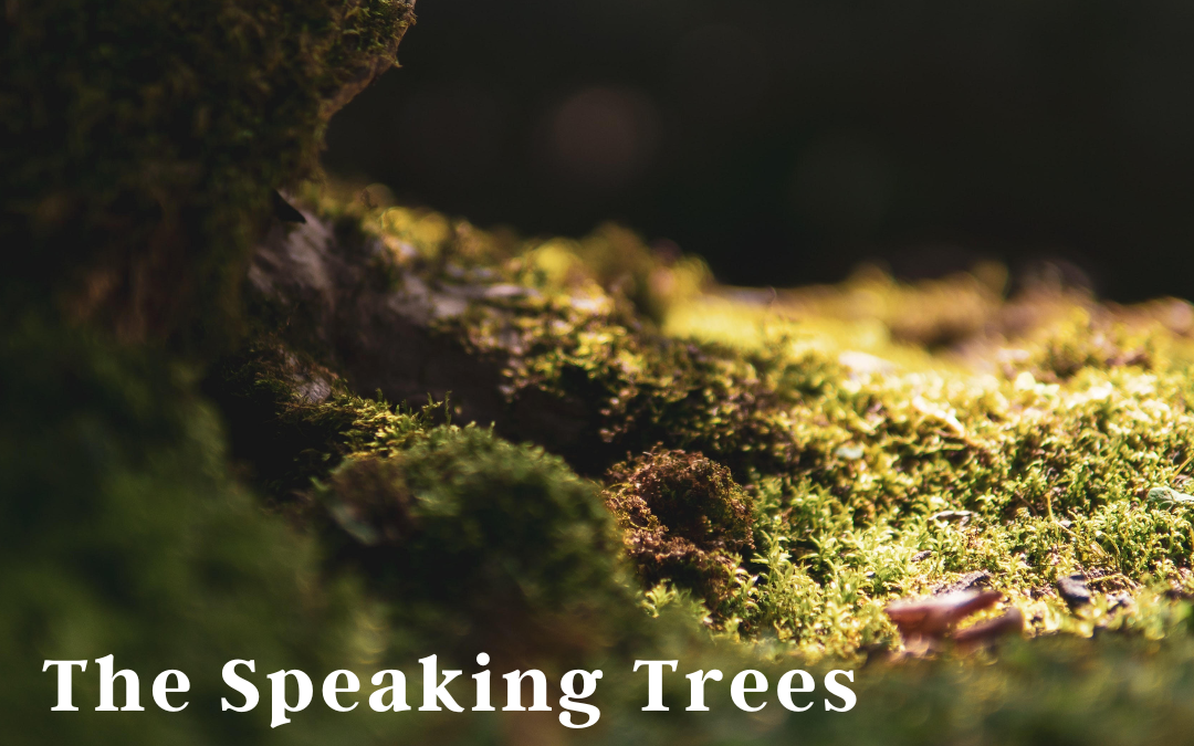 The Speaking Trees: Poetic Dialogues with Nature with Mary Reynolds Thompson