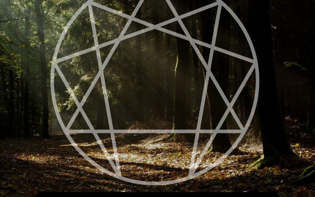 The Wild Enneagram: Integrating Ecology, Psychology, and Spirituality