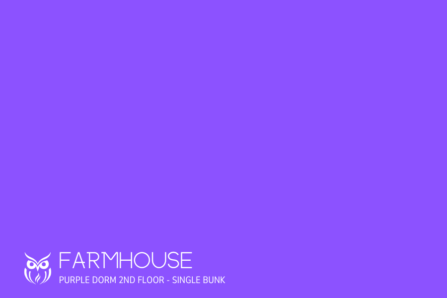 purple dorm placeholder