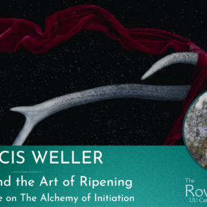 Soul Work and the Art of Ripening: A Five Part Online Course on the Alchemy of Initiation
