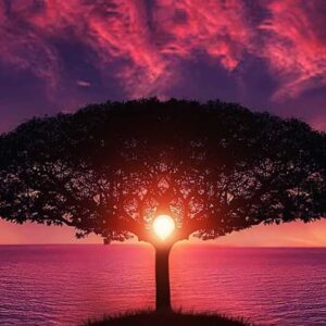 No Time for Ordinary: Becoming the Mystics and Prophets We are Born to Be
