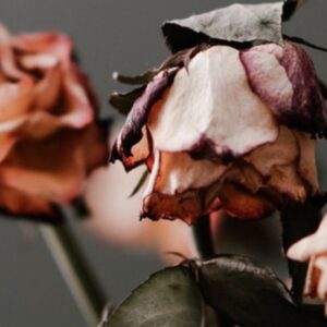 Death’s Door 2021: Dying into Life, Living into Death