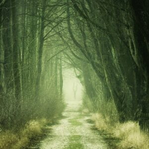 Awakening to the Forest Woman Archetype: A Five-Part Writing Workshop