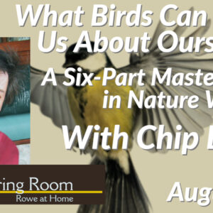 What Birds Can Teach Us About Ourselves: A Six Part Master Class in Nature Writing