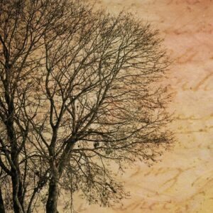 Writing Naturally: A Six Part Course on Expressing Your Experience of Nature