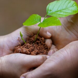 Fundraising in Difficult Times: Cohort 1