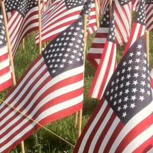 Veteran’s Day 2021: An Online Mini-Retreat for All