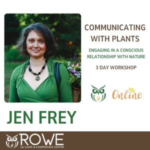 Communicating With Plants: Engaging in a Conscious Relationship with Nature