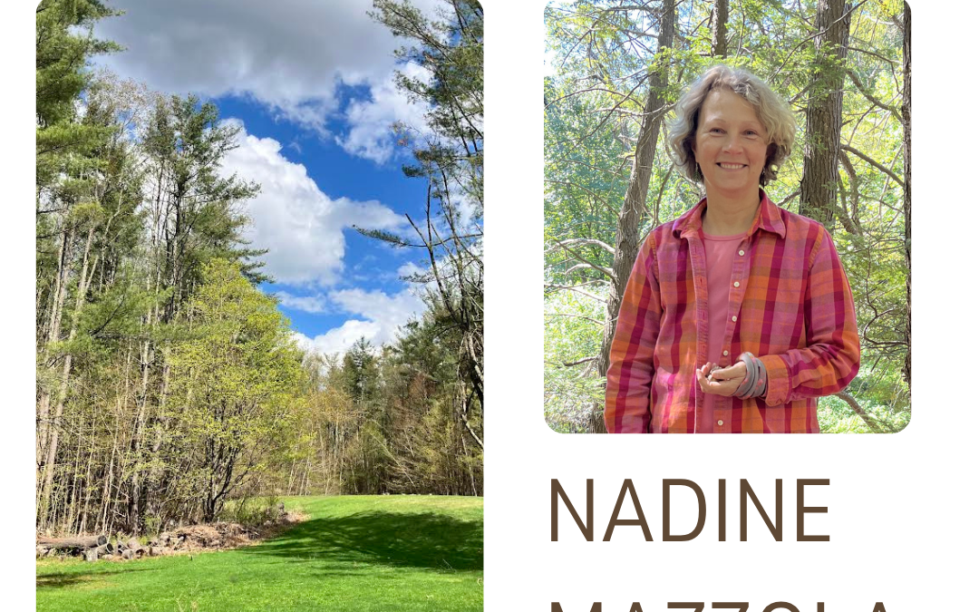 Forest Bathing Weekend Retreat