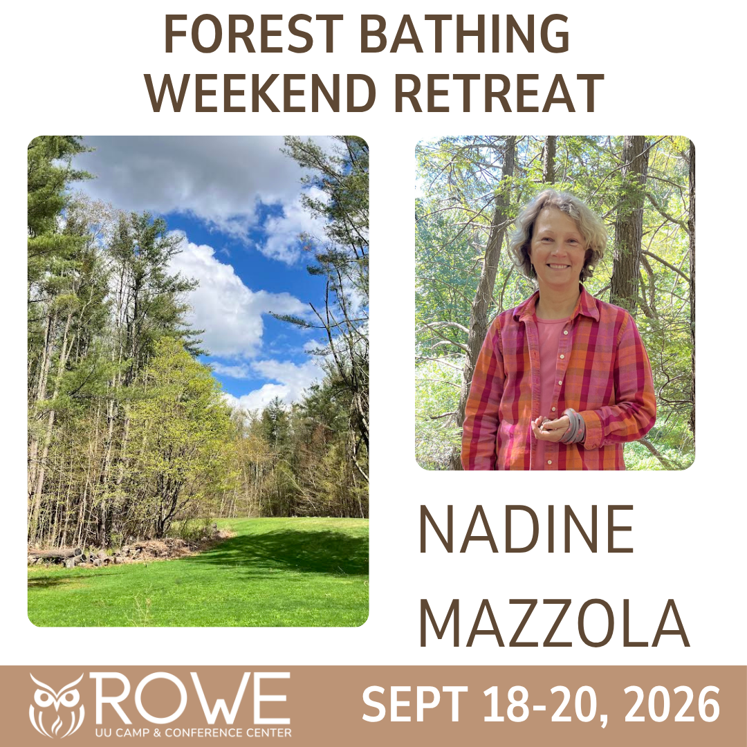 Forest Bathing Weekend Retreat