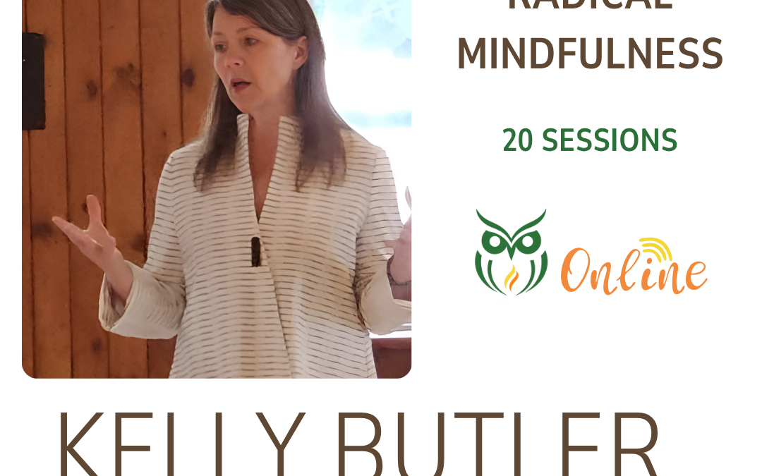 Radical Mindfulness: Why Transforming Fear of Death is Politically Vital