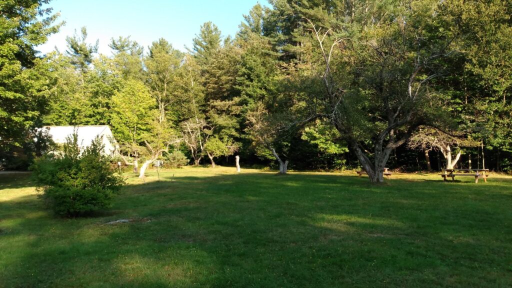 orchard-field-of-rowe-center